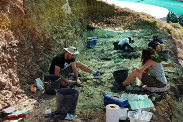 Un equipo de paleontólogos busca fósiles de 'dientes de sable' en Teruel