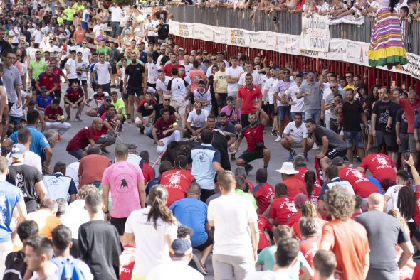 Por mucho que le duela a Cataluña, las tierras del Ebro continúan siendo taurinas