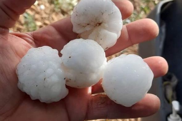 Una intensa granizada merma aún más la cosecha de melocotón en Calanda