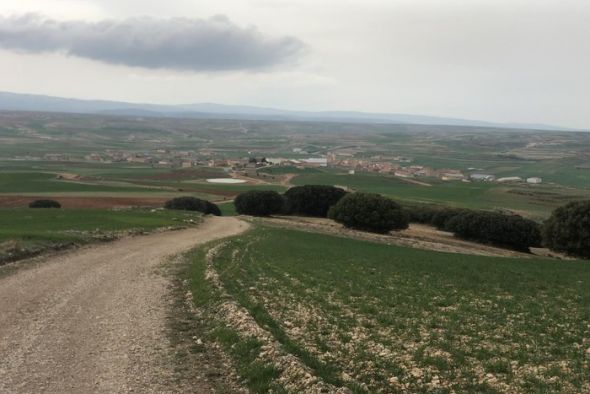 Celadas analiza el papel de sus bosques como sumideros de carbono