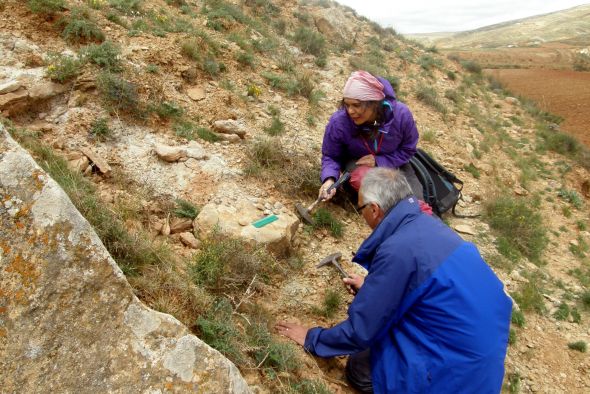 Científicos españoles y británicos definen una nueva familia de bivalvos que habitaba los ríos de Teruel hace 129 millones de años