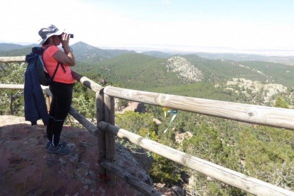 Licitada la mejora de accesos al Paisaje Protegido de los Pinares de Rodeno