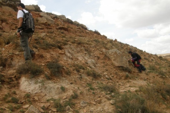 Los moluscos ya eran claves en la era de los dinosaurios para limpiar los ríos de Teruel