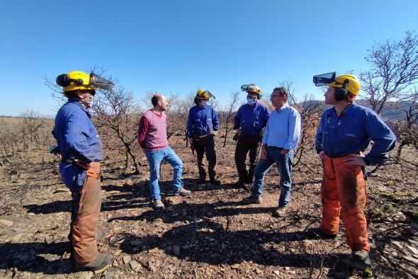La Dirección General de Gestión Forestal ya trabaja en la restauración de las zona afectada por el incendio de Castejón de Tornos