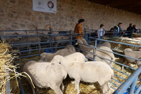 “Es fundamental que se vea que la ganadería está viva y que tenemos mucho futuro en el territorio”