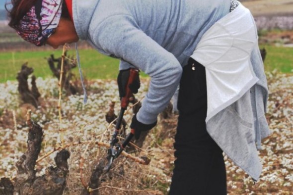 Hasta 66 jóvenes agricultores se incorporarán próximamente al sector en la provincia de Aragón