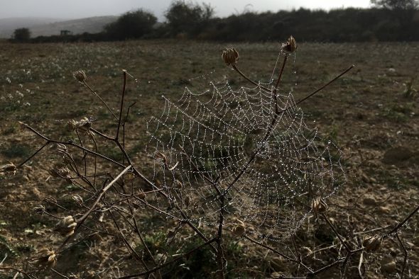 Tranquilizantes: estoy yo para diferenciar la calidad 8K