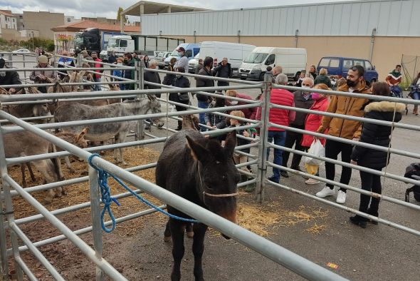 La Feria de Mora de Rubielos, una cita imprescindible con muchas actividades programadas