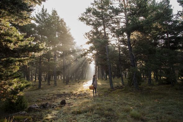 Beatriz Talabantes gana la segunda edición del Concurso de Fotografía del Parque del Chopo Cabecero