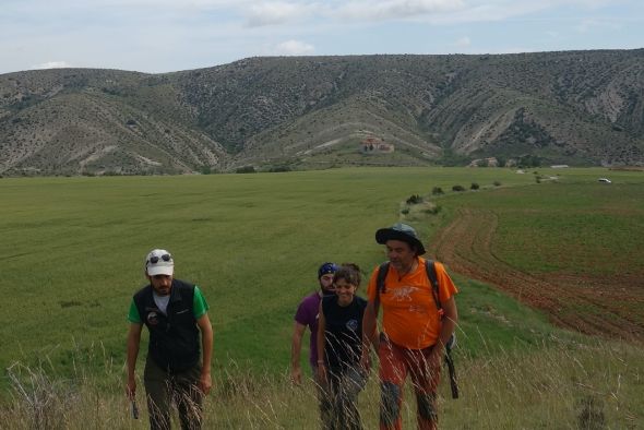 Hallados en Allueva restos de los dinosaurios más recientes de la provincia de Teruel