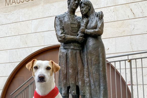 Los perros podrán ir sueltos por el parque de Las Arcillas y la ribera del Turia