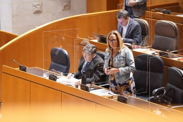 Mayte Pérez informa este lunes en la Comisión Institucional de las Cortes sobre las ayudas estatales para funcionamiento empresarial en Teruel