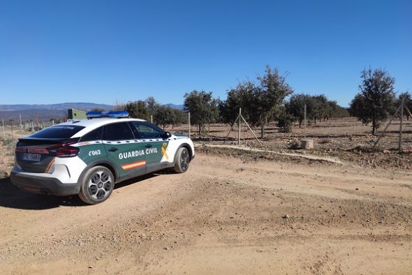 Detenido un hombre en Sarrión por robar trufas en dos plantaciones de la localidad