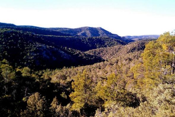 Luz verde del Inaga a los dos parques eólicos de Molinos, Castellote, Berge y Seno