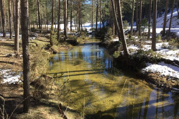 Gobierno de Aragón y Confederación del Tajo limarán asperezas para evitar problemas con la gestión forestal en la Sierra de Albarracín