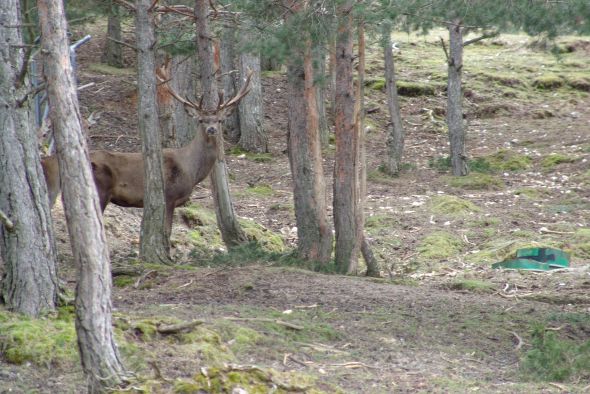 El Gobierno de Aragón mejora las compensaciones por la Reserva de Montes Universales y la de Masías de Ejulve