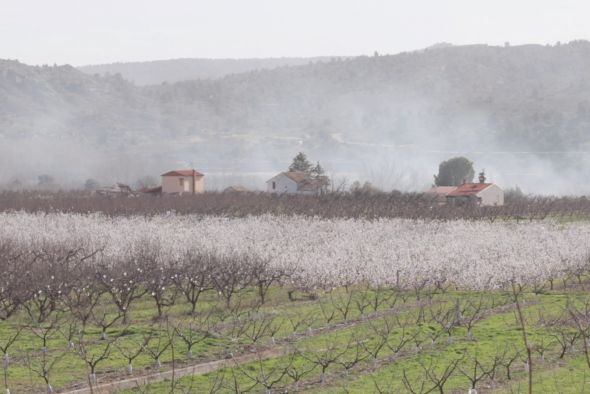 Calanda ofrece la floración de los melocotoneros como experiencia turística a finales de marzo