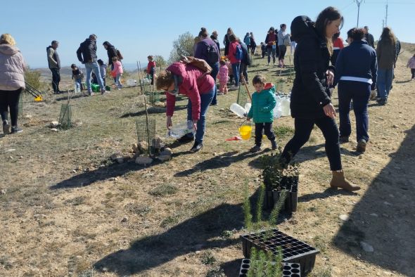 Andorra celebra el Día del Árbol con una plantada escolar y colectiva en San Macario