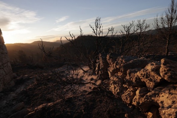 El fuerte viento y las altas temperaturas marcan este domingo el incendio de Castellón