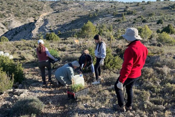 Dos Torres de Mercader planta más de 300 árboles en la senda de las trincheras