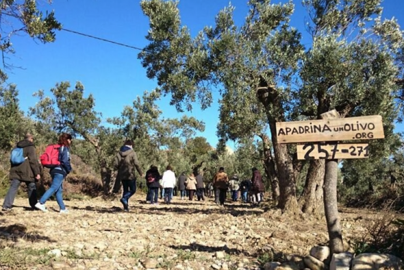 La Diputación de Teruel pondrá en marcha un Centro de Innovación Territorial con apadrinaunolivo