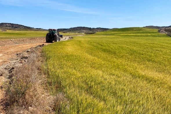 Las cooperativas agroalimentarias estiman que la reducción de la cosecha de cereal será del 44%