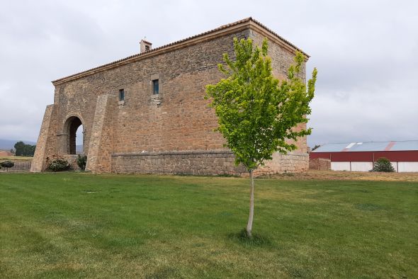 Los olmos cumunes libres de grafiosis vuelven a las plazas y paseos de los pueblos turolenses