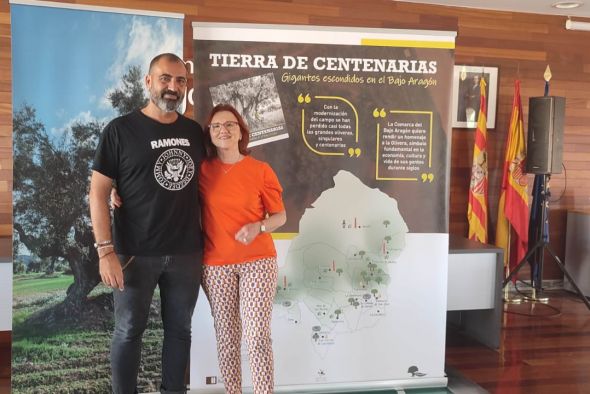 Una exposición itinerante habla de las oliveras más vetustas del Bajo Aragón