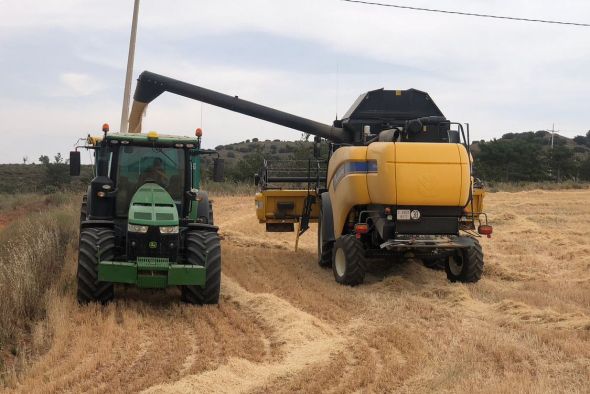 Los agricultores ven “desastrosa”  una cosecha de cereal lastrada además por la subida de los precios
