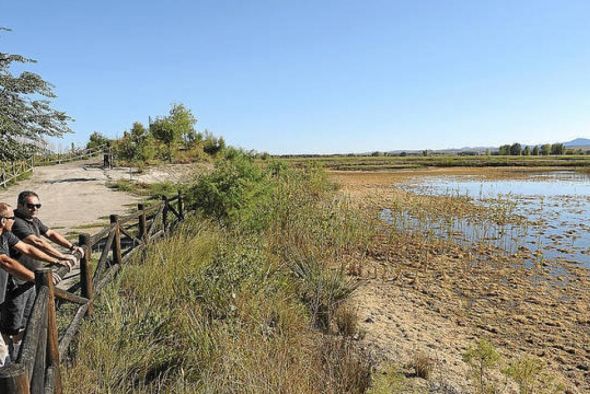 Jornada para aprender a catalogar las mariposas de la Laguna del Cañizar