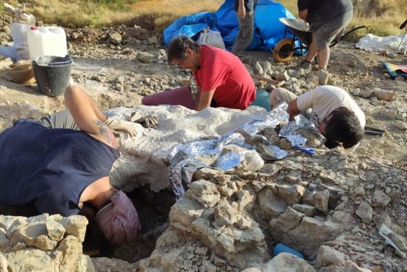 Nueva campaña de excavación en el yacimiento paleontológico de Alacón