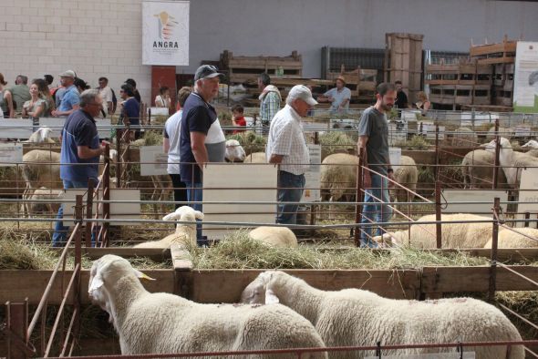 La Feria Agrícola, Ganadera e Industrial de Cedrillas espera la visita de unas 10.000 personas durante el fin de semana