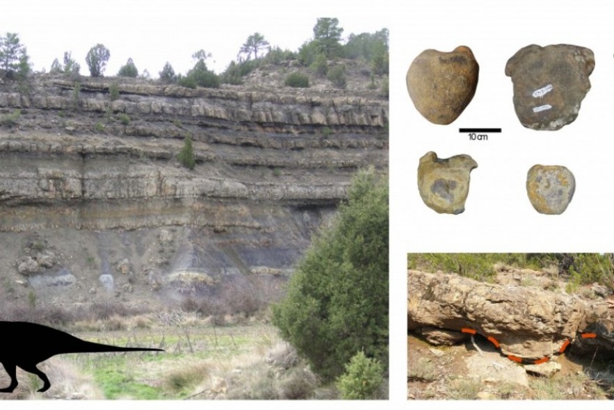 Una investigación confirma que los grandes dinosaurios ornitópodos reinaban en los lagos costeros de hace 130-125 millones de años en la provincia de Teruel