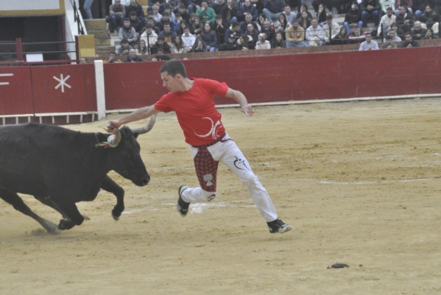 Tarde taurina en Teruel a base de recortadores y colocación de anillas