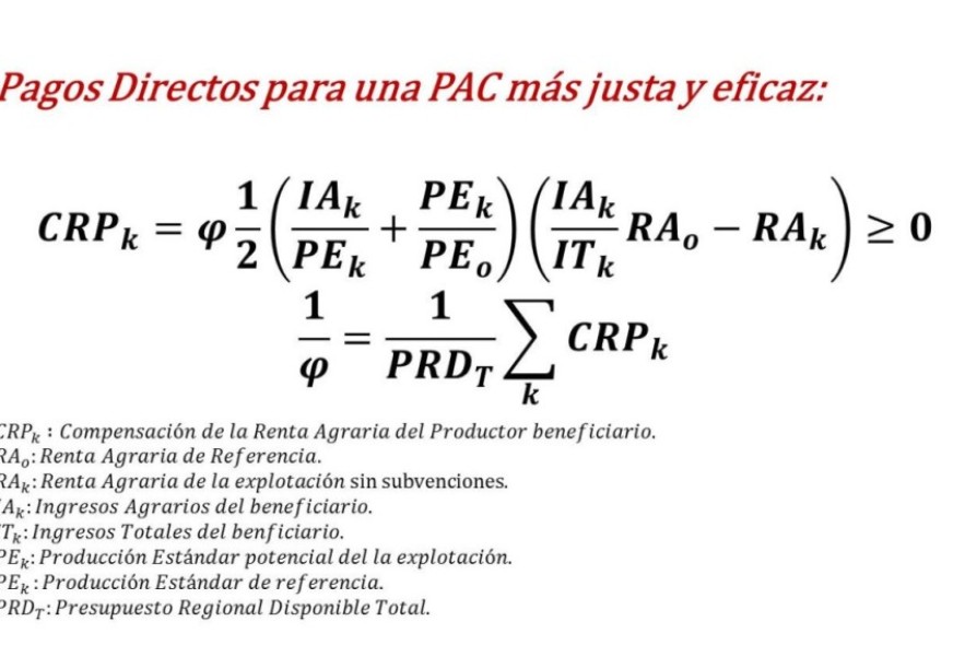 ¡Amnístiame!