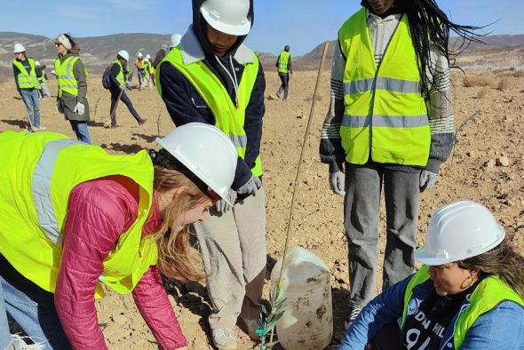 Un grupo de estudiantes norteamericanos planta más de 200 olivos en la mina Beatriz de Oliete