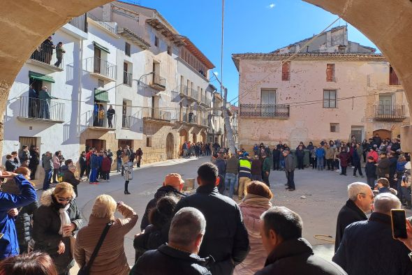 Un chopo de 20 metros de altura presidirá la Monumental hoguera de San Sebastián en Castelserás