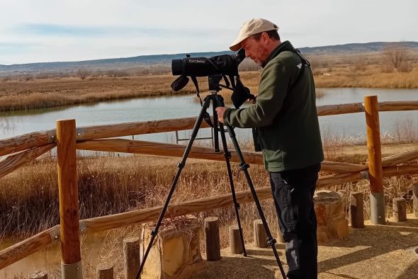 La escasez de agua en la Laguna del Cañizar merma el censo de aves acuáticas invernantes