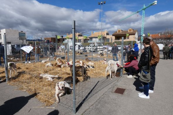 Captur cuelga el cartel de 'Completo' con toda su superficie de exposición ocupada