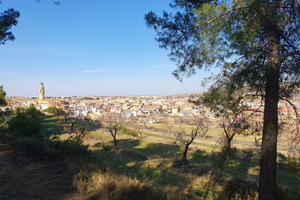 Torrecilla de Alcañiz redacta una nueva ordenanza sobre tenencia de animales domésticos