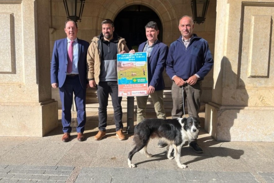 La Masía El Chantre de la DPT acoge el I Open de Perros Pastores de Teruel