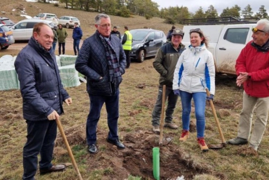 Gestión Forestal restaura el monte de Castelfrío con la plantación de más de 58.000 árboles