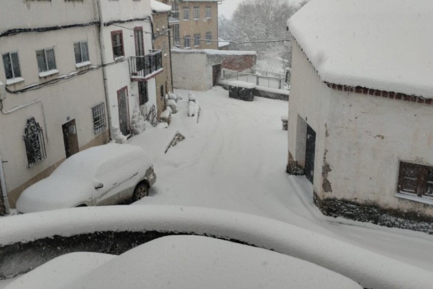 El puerto de Orihuela del Tremedal, intransitable por la caída de pinos en la calzada a causa de la nieve