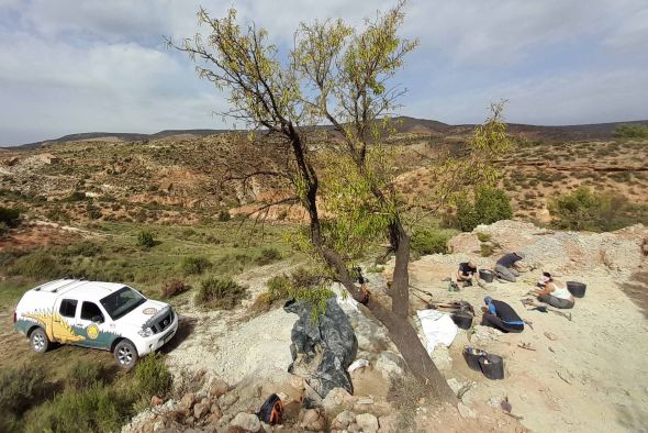 Riodeva acogerá las excavaciones del curso de paleontología de la Universidad de Verano