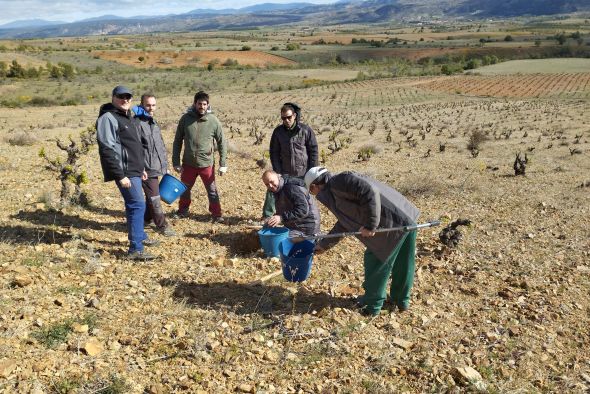 El CITA toma muestras del suelo de los viñedos en San Martín del Río