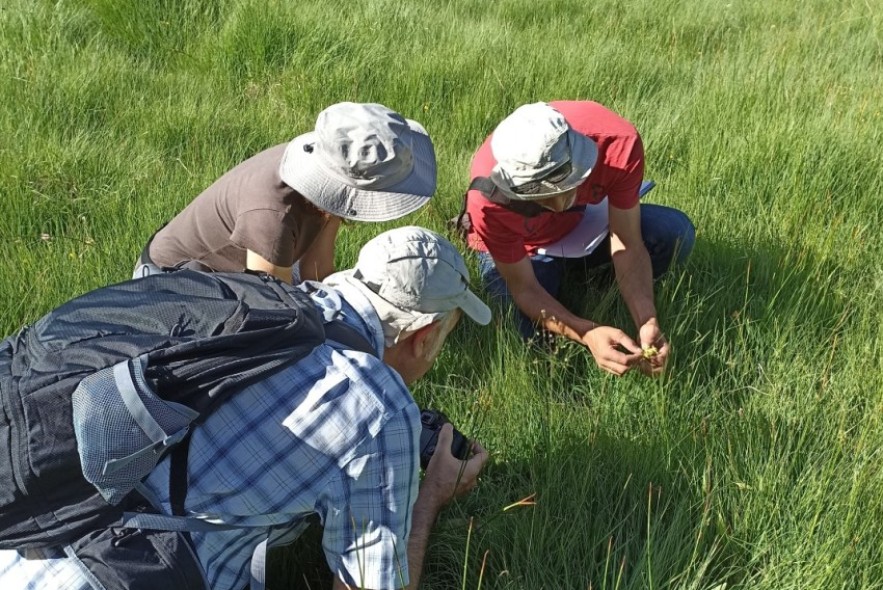 Las Jornadas de Orquídeas animan a salir al campo esta primavera