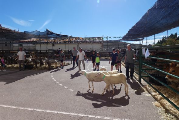 70 puestos comerciales y 30 ganaderos participan en la Feria de Mosqueruela