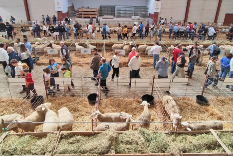 Cedrillas aúna tradición y vanguardia para favorecer la rentabilidad del sector agrario