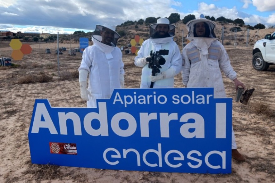 Endesa preserva las abejas y la biodiversidad con sus apiarios solares