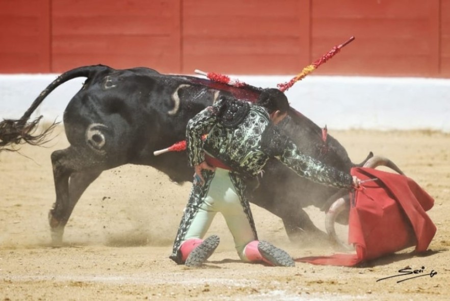 Un novillo de Alicia Chico destaca en el primer festejo de la Feria del Aficionado